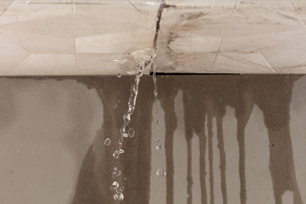 Professional Structural Drying technician working in Elka Park, NY
